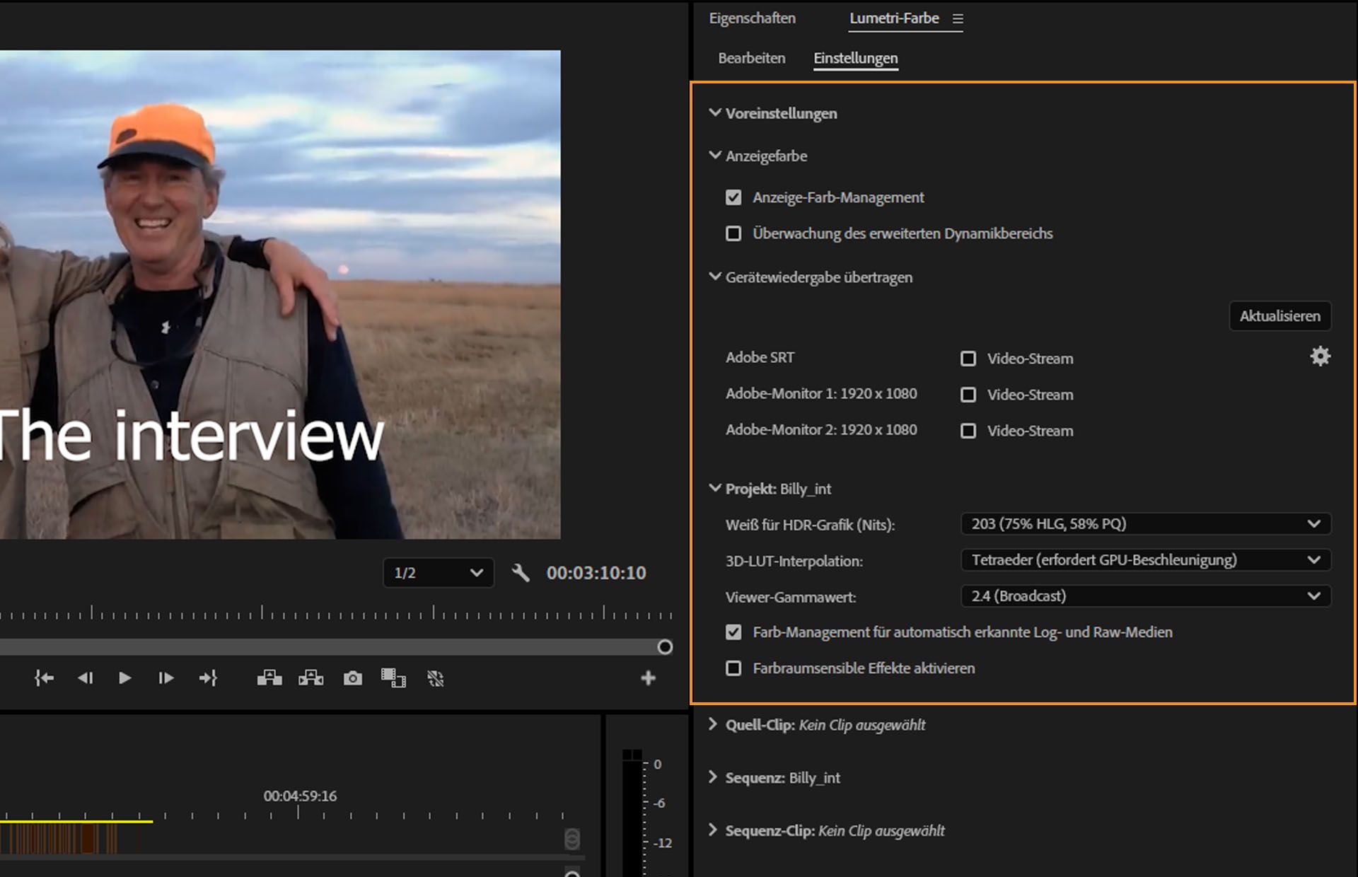 Das Bedienfeld „Lumetri-Farbe“ in Adobe Premiere Pro zeigt Optionen für die Verwaltung von Anzeigefarben und Einstellungen von Projekten an, einschließlich Weiß für HDR-Grafiken, LUT-Interpolation und Gamma.