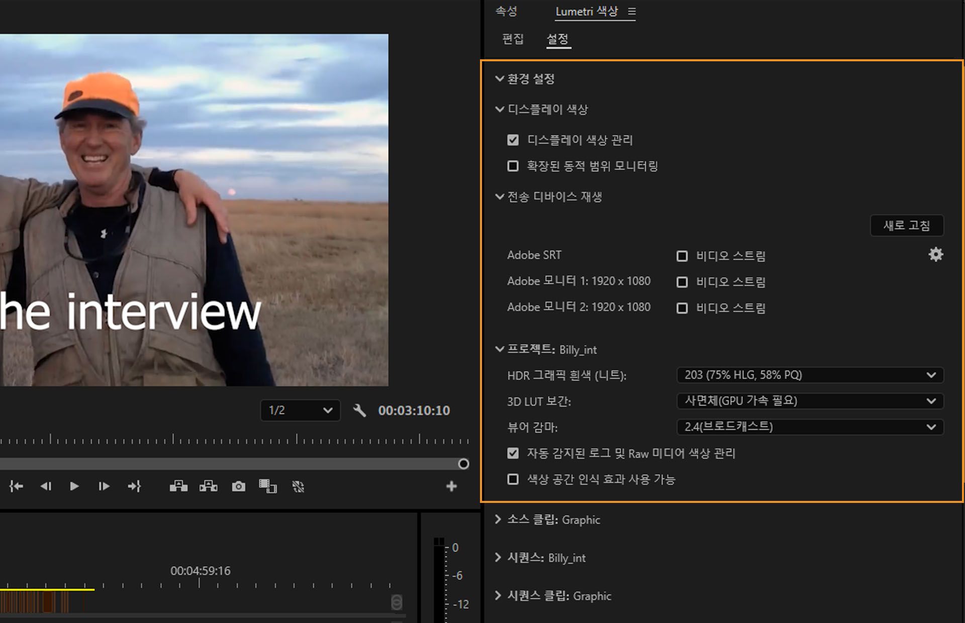 Adobe Premiere Pro의 Lumetri 색상 패널에 HDR 그래픽 흰색, LUT 보간, 감마 등 디스플레이 색상과 프로젝트 설정을 관리하는 옵션이 표시됩니다.