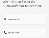 Optionen für das Meetingaudio