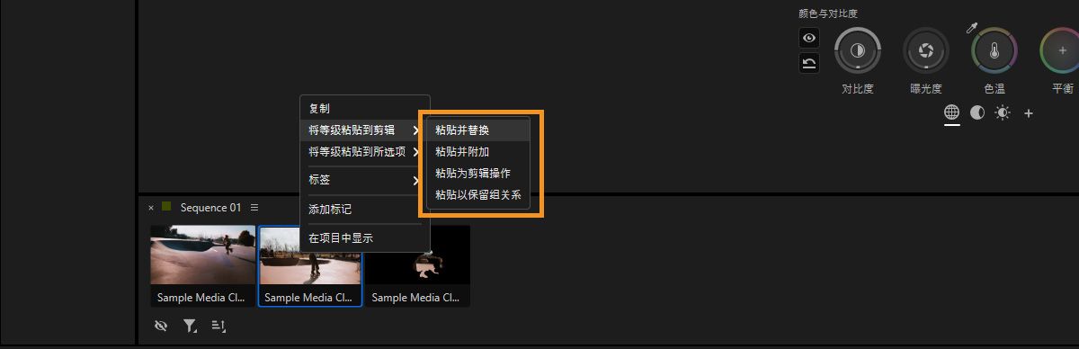 上下文菜单显示在“颜色工具”面板中将复制的调色应用于片段的粘贴选项。