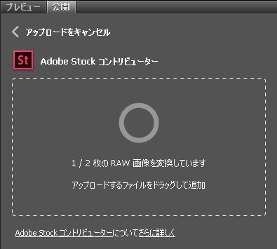 公開パネルの変換とアップロード進行状況バー