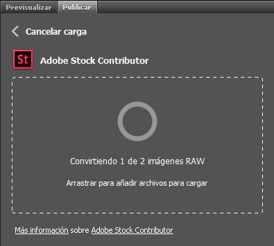 Barra de progreso de conversión y carga en el panel Publicar