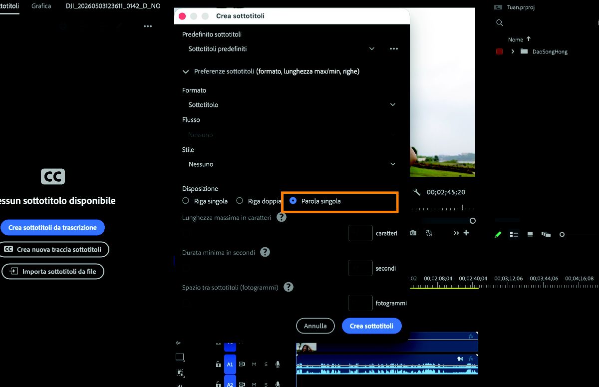 Finestra di dialogo Crea didascalie con il layout Parola singola selezionato nelle impostazioni didascalie.