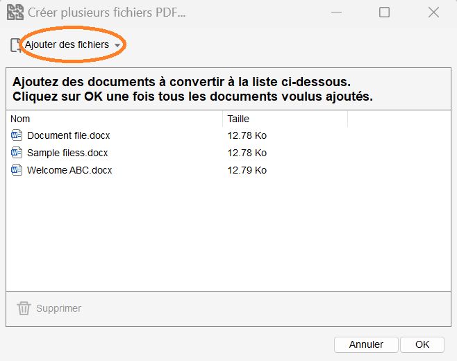 Boîte de dialogue Créer plusieurs fichiers PDF