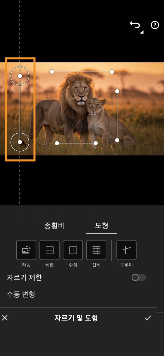 선택한 도우미 도형 도구가 표시되는 자르기 및 도형 패널. 이미지 원근감을 조정 및 교정하기 위해 4개의 안내선이 이미지 옆에 배치됩니다.