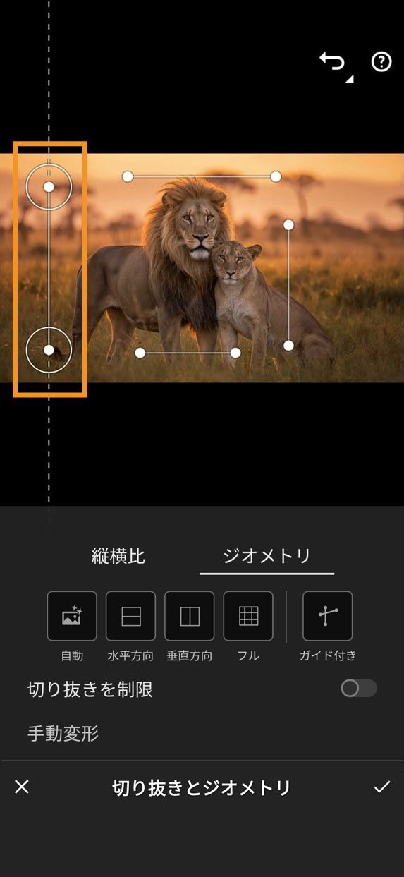 切り抜きとジオメトリパネルでガイド付きジオメトリツールが選択されています。画像の遠近法を調整して補正するために、画像の横に 4 本のガイド線が配置されています。