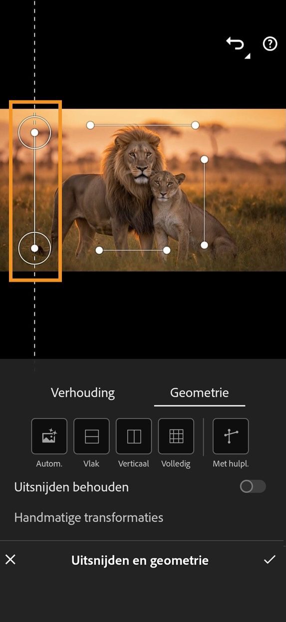 Paneel met bijsnijden en geometrie toont het geselecteerde Guided Geometry-gereedschap. Vier richtlijnen worden naast een afbeelding geplaatst om het beeldperspectief aan te passen en te corrigeren.