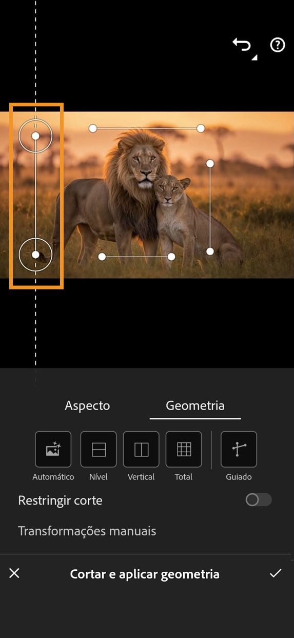 Painel Cortar e geometria mostrando a ferramenta Geometria guiada selecionada. Quatro linhas-guia são posicionadas ao lado de uma imagem para ajustar e corrigir a perspectiva da imagem.