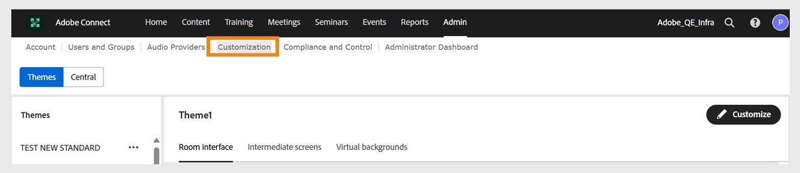 Customization of themes interface