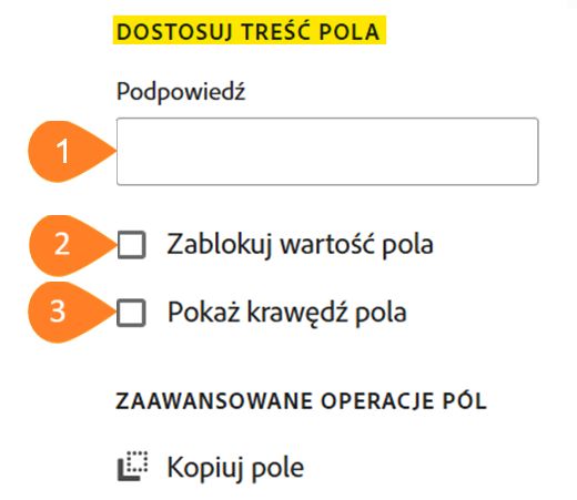 Panel „Dostosuj pole” z wyróżnioną sekcją „Dostosuj treść pola”
