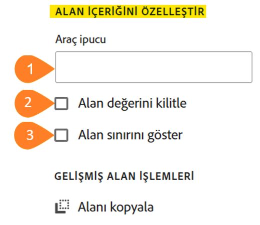 &quot;Alan İçeriğini Özelleştir&quot; bölümünü vurgulayan &quot;Alanı özelleştir&quot; paneli