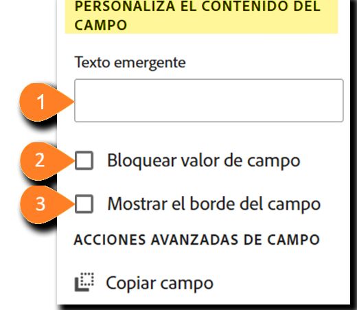 El panel “Personalizar campo” resalta la sección “Personalizar contenido del campo”