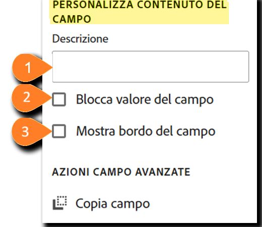 Il pannello “Personalizza campo” che evidenzia la sezione “Personalizza contenuto campo”