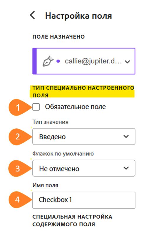 Представление меню настройки полей с выделенным разделом настраиваемого типа поля.