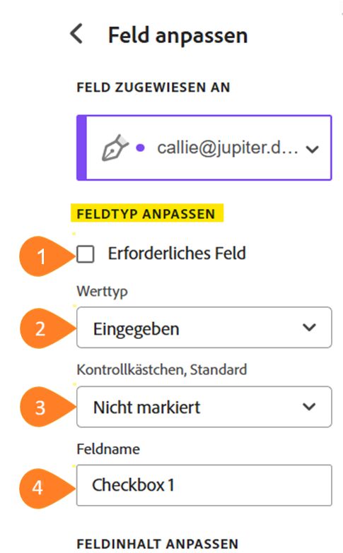 Ansicht des Feldanpassungsmenüs mit hervorgehobenem Abschnitt „Anpassbarer Feldtyp“.