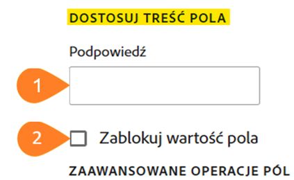 Panel „Dostosuj pole” z wyróżnioną sekcją „Dostosuj treść pola”
