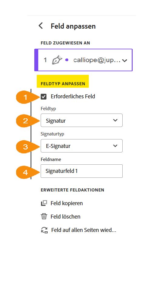 Ansicht des Feldanpassungsmenüs mit hervorgehobenem Abschnitt „Anpassbarer Feldtyp“.
