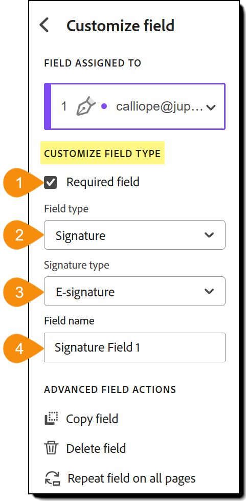Exibição do menu Personalização de campo com a seção Tipo de campo personalizado realçada.