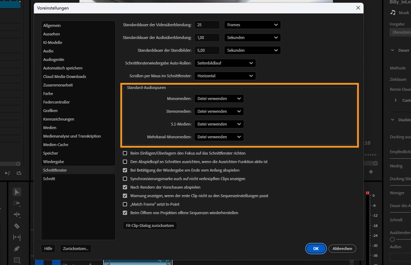 Der Abschnitt „Standard-Audiospuren“ ist im Bedienfeld „Schnittfenster“ des Dialogfelds „Voreinstellungen“ in Premiere Pro hervorgehoben.