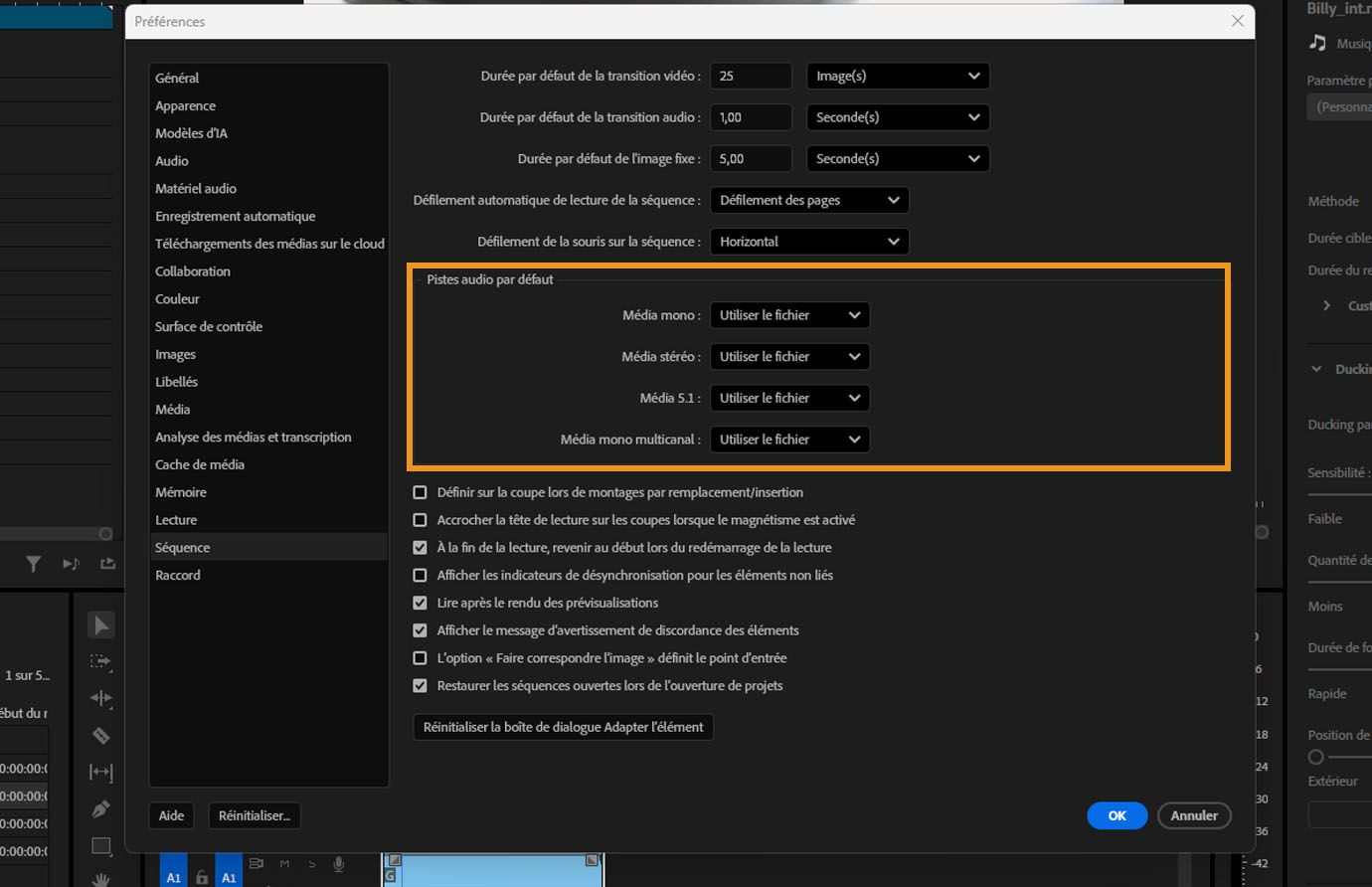 Section Pistes audio par défaut mise en évidence dans le panneau Montages de la boîte de dialogue Préférences dans Premiere Pro.