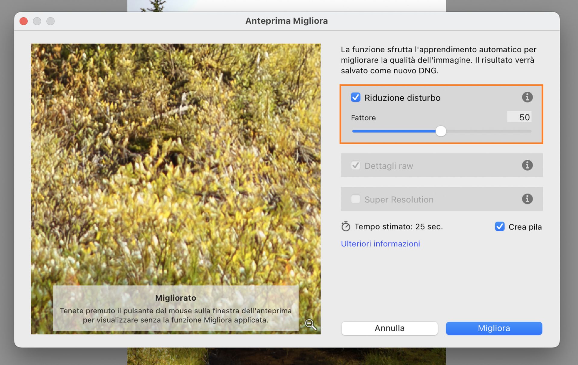 La casella Anteprima Migliora con Riduzione disturbo IA impostata su 50 mostra un miglioramento della qualità dell'immagine per i fari di un'auto.