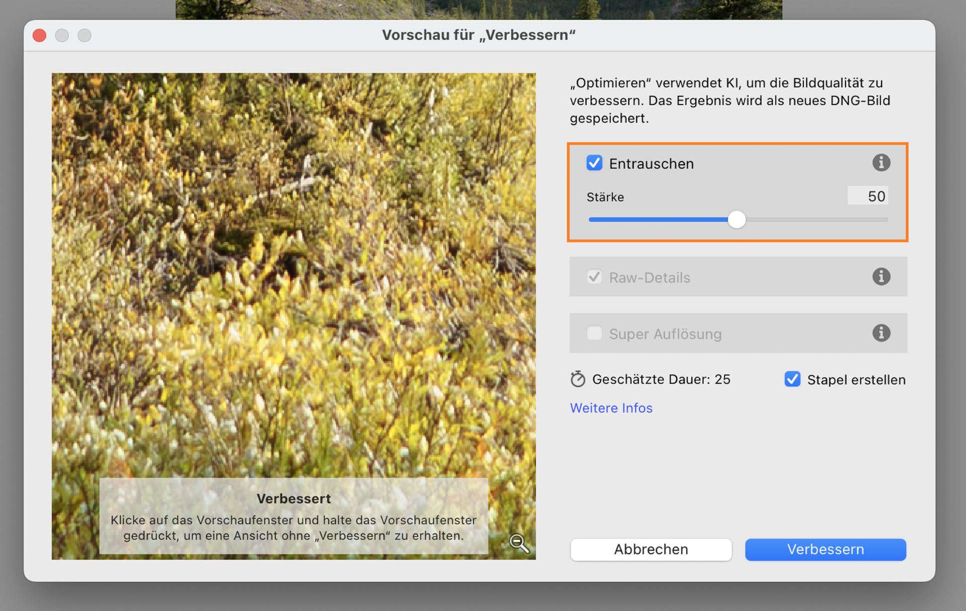 „Vorschau verbessern“-Feld mit KI-Entrauschen auf 50 eingestellt, um die Bildqualität eines Autoscheinwerfers zu verbessern.