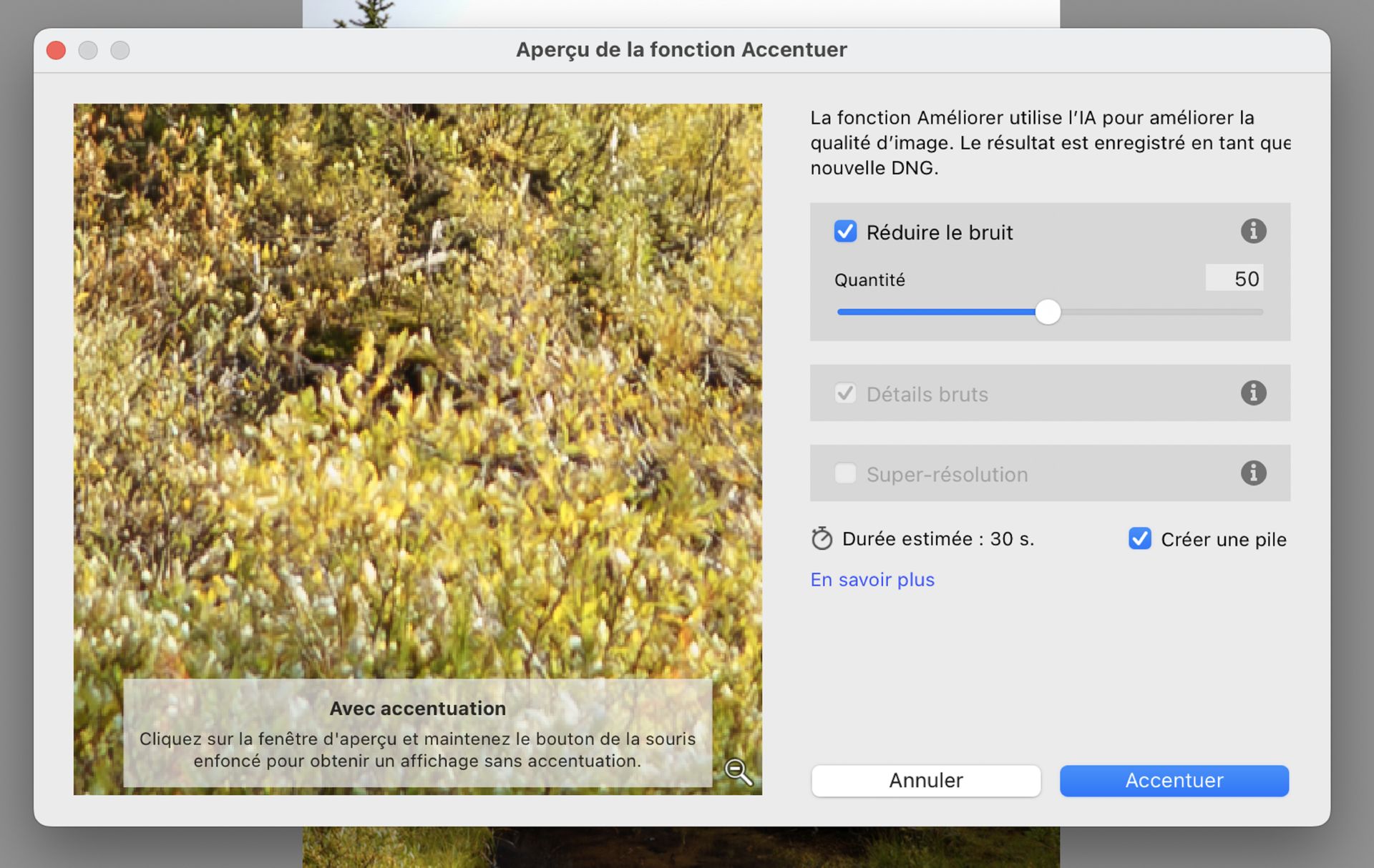 Zone d’aperçu de la fonctionnalité Accentuer avec Réduction du bruit par l’IA réglée sur 50, montrant l’amélioration de la qualité d’image d’un phare de voiture.