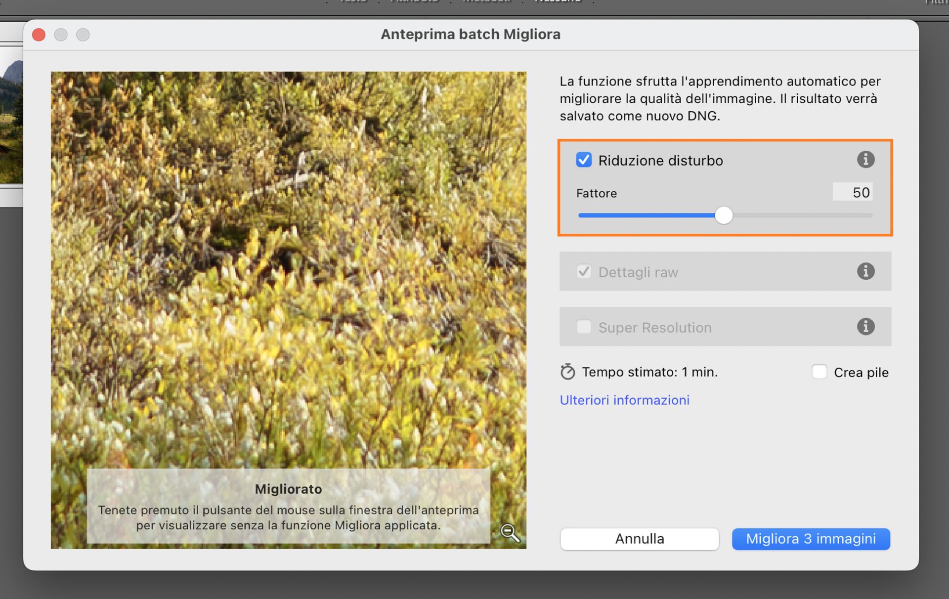 La finestra Migliora in batch in Adobe Lightroom Classic con Riduzione disturbo impostato su 50 per ridurre il disturbo e migliorare la chiarezza delle immagini nelle foto selezionate.