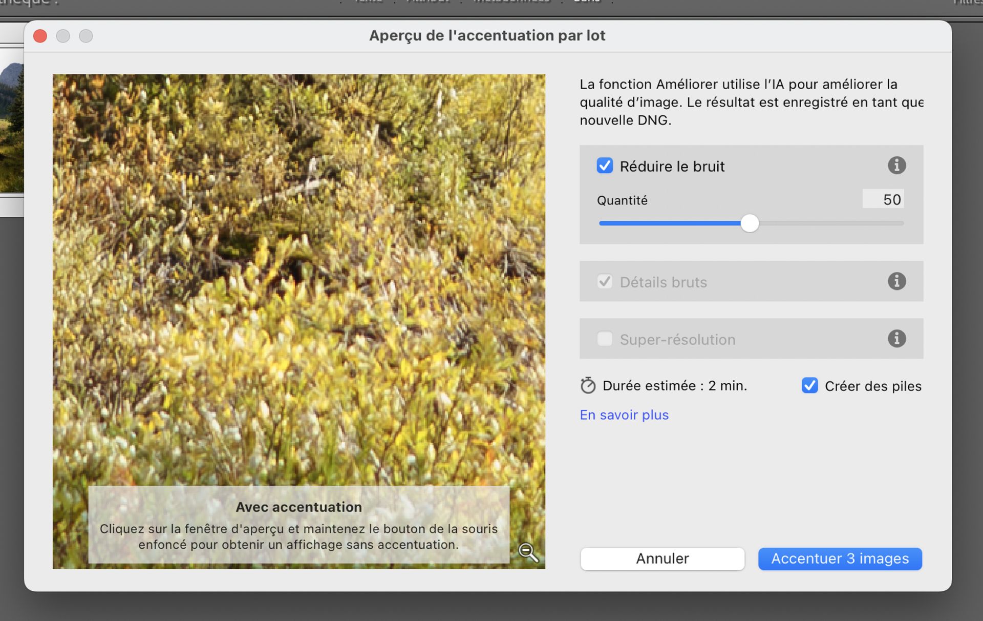 Fenêtre d’amélioration par lots dans Adobe Lightroom Classic avec réduction du bruit réglée sur 50 pour réduire le bruit et améliorer la clarté de l’image dans les photos sélectionnées.