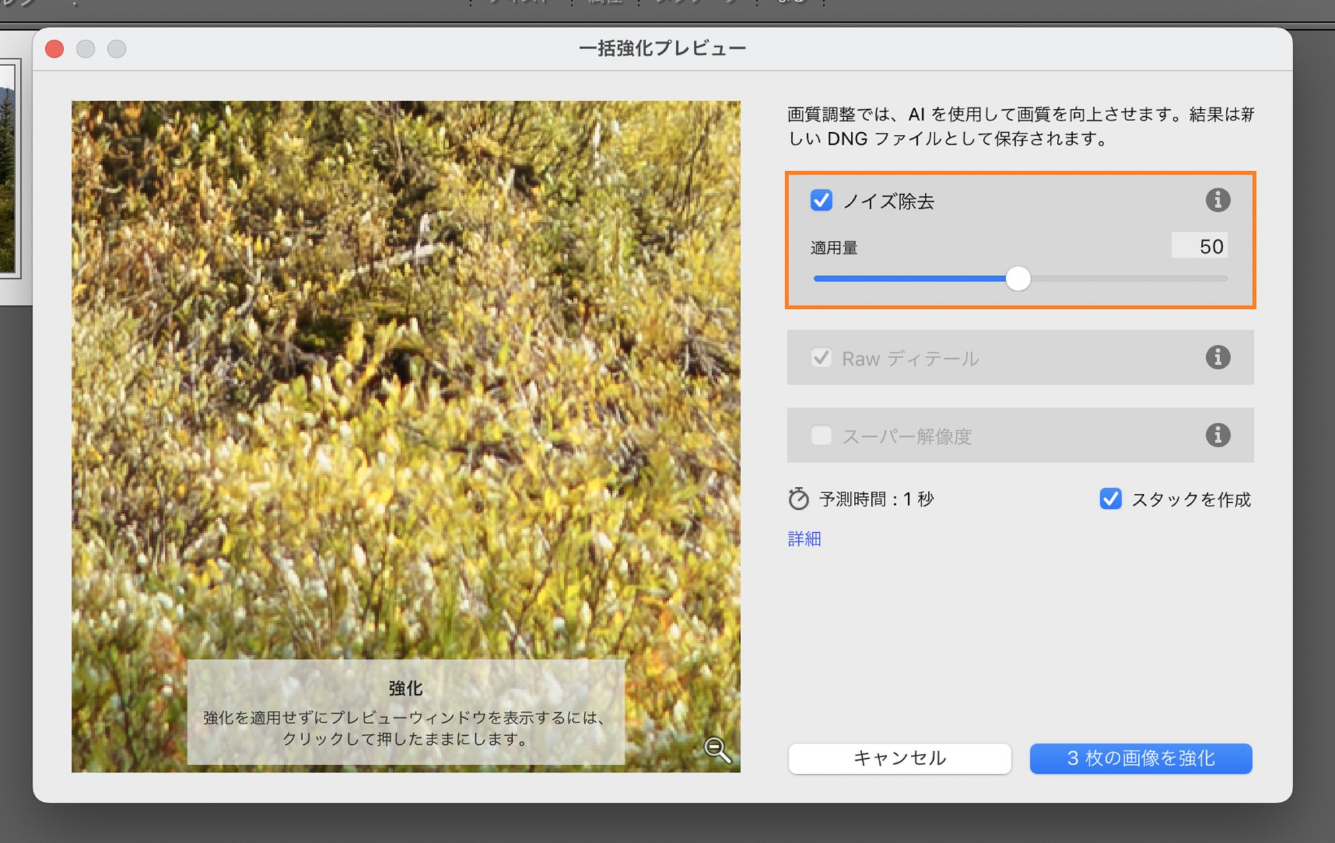Adobe Lightroom Classic の一括強化ウィンドウで、選択した写真のノイズを軽減し、画像の鮮明さを向上させるため、「ノイズ除去」が 50 に設定されています。