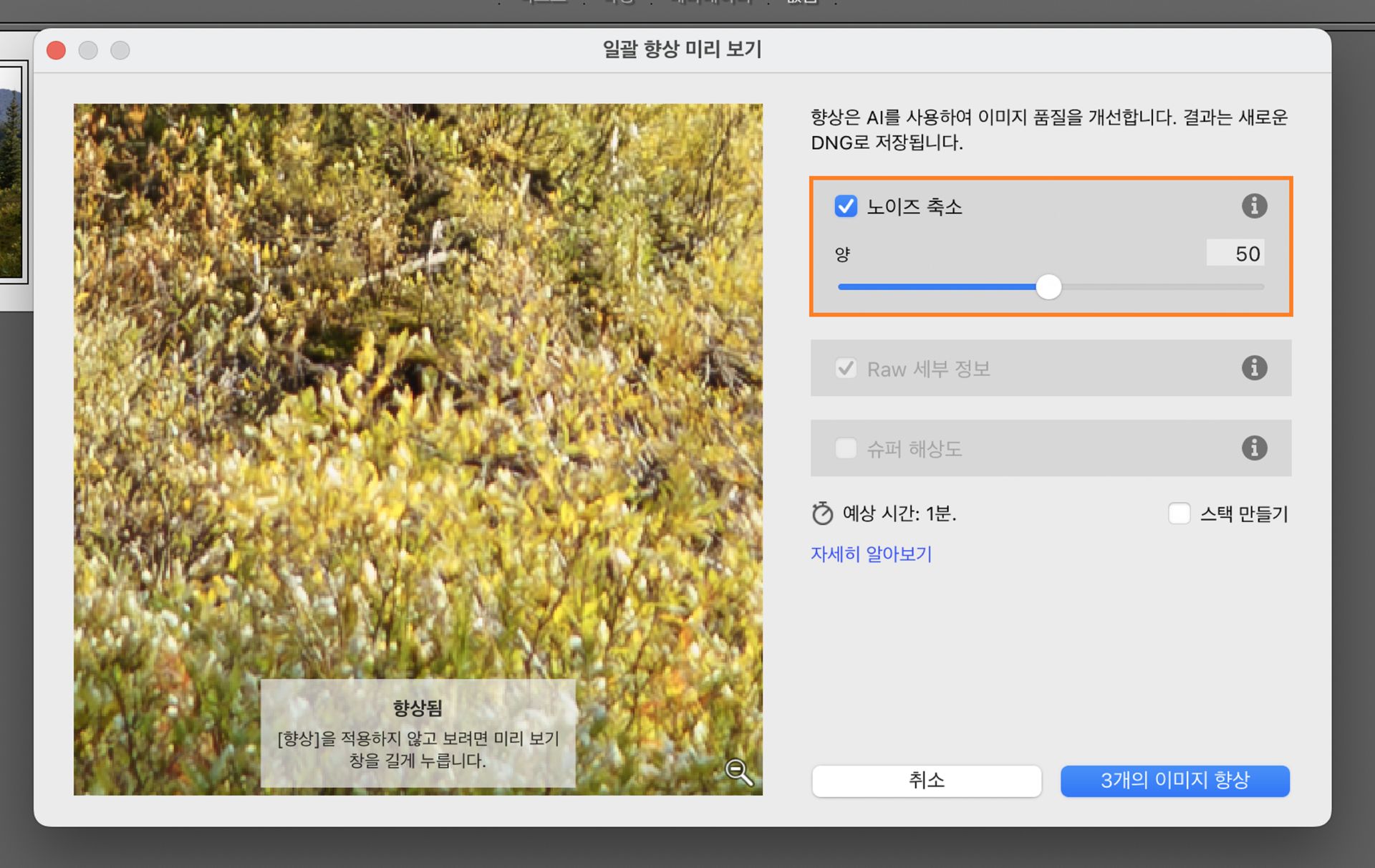 노이즈 제거를 50으로 설정한 상태로 Adobe Lightroom Classic에서 일괄 처리 향상 창을 사용하면 선택한 사진에서 노이즈를 줄이고 이미지 선명도를 개선할 수 있습니다.