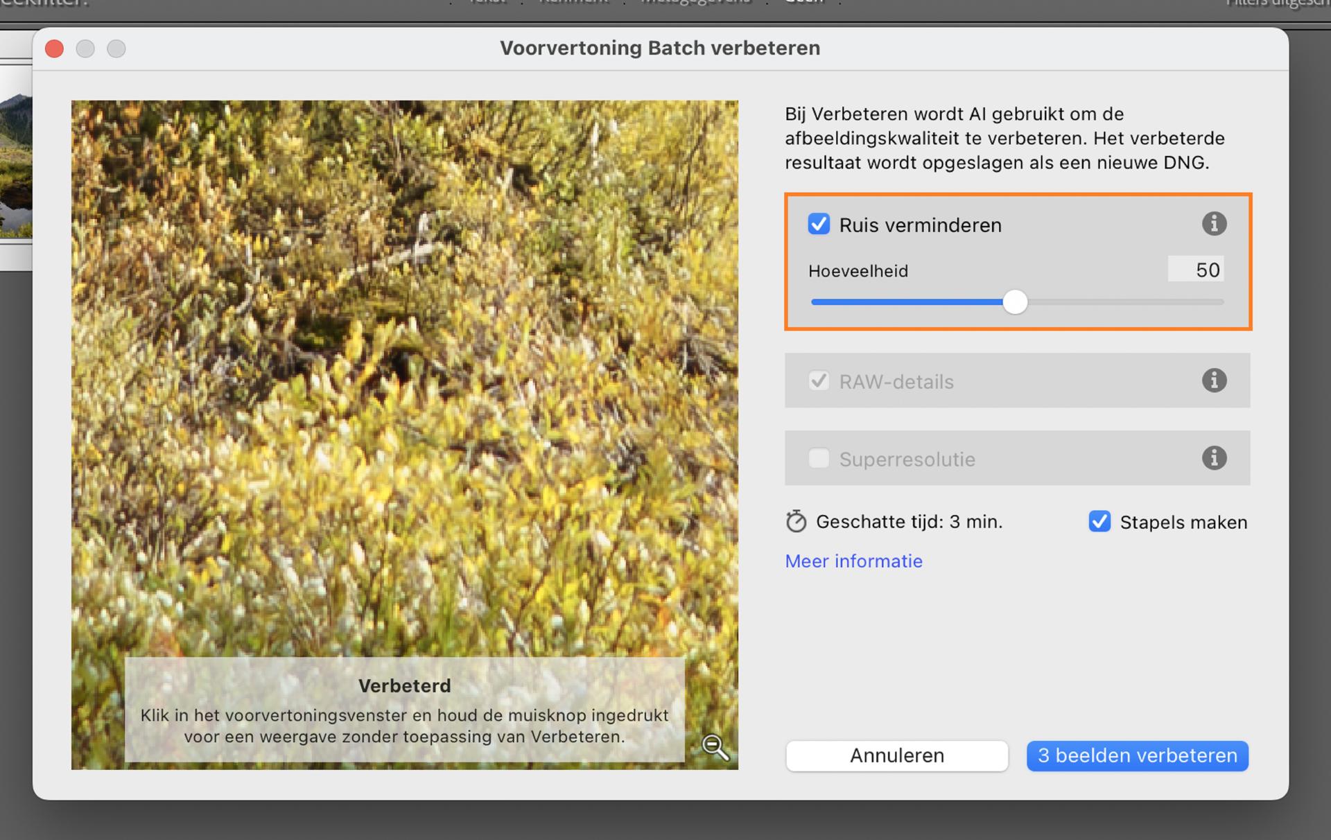 Venster Batch verbeteren in Adobe Lightroom Classic met deactivering ingesteld op 50 om ruis te verminderen en de helderheid van afbeeldingen in geselecteerde foto's te verbeteren.