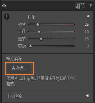 突出显示“去杂色”按钮的“细节”面板屏幕快照