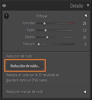 Captura de pantalla del panel Detalle que resalta el botón Quitar ruido