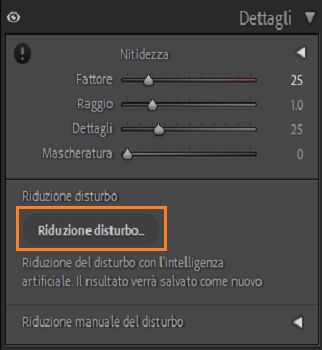 Schermata del pannello Dettagli in cui è evidenziato il pulsante Riduzione disturbo