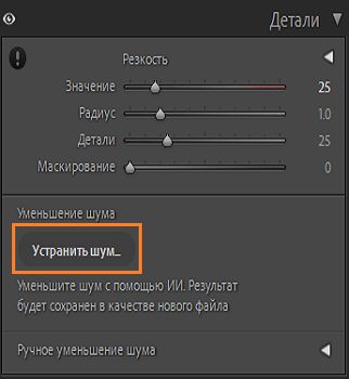 Снимок экрана панели «Детали» с выделенной кнопкой «Уменьшение шума»