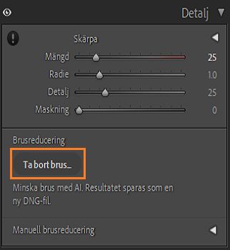 Skärmbild av panelen Detalj där knappen Ta bort brus är markerad