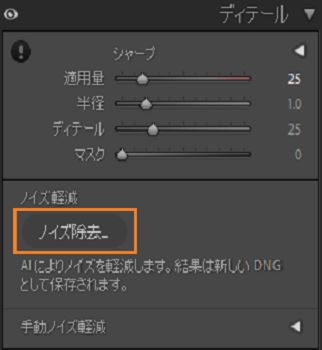 「ノイズ除去」ボタンがハイライトされているディテールパネルのスクリーンショット