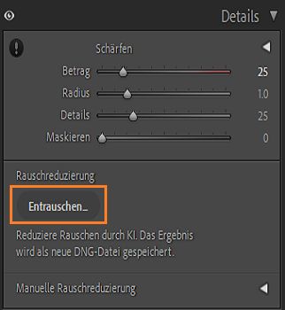 Screenshot des Bedienfelds „Details“ mit der Schaltfläche „Entrauschen“