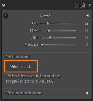 Capture d’écran du panneau Détail avec le bouton Réduire le bruit encadré