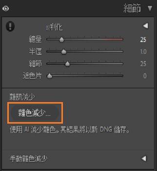 「細節」面板反白顯示「雜色減少」按鈕的螢幕擷圖