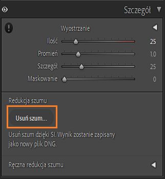 Zrzut ekranu panelu Szczegół z podświetleniem przycisku Usuń szum