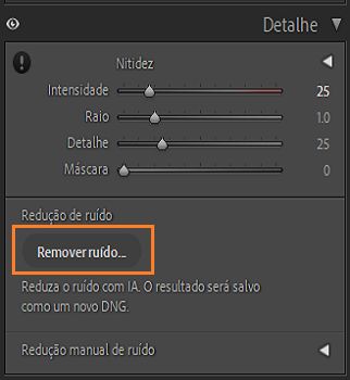 Captura de tela do painel Detalhes destacando o botão Remover ruído