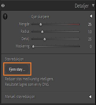 Skjermbilde av Detaljer-panelet med Fjern støy-knappen uthevet