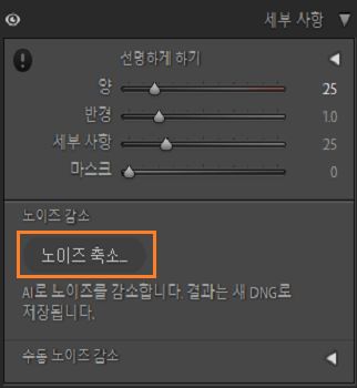 노이즈 제거 버튼이 강조된 디테일 패널 스크린샷