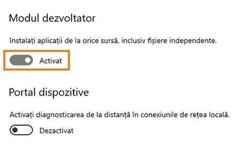 Modul dezvoltator