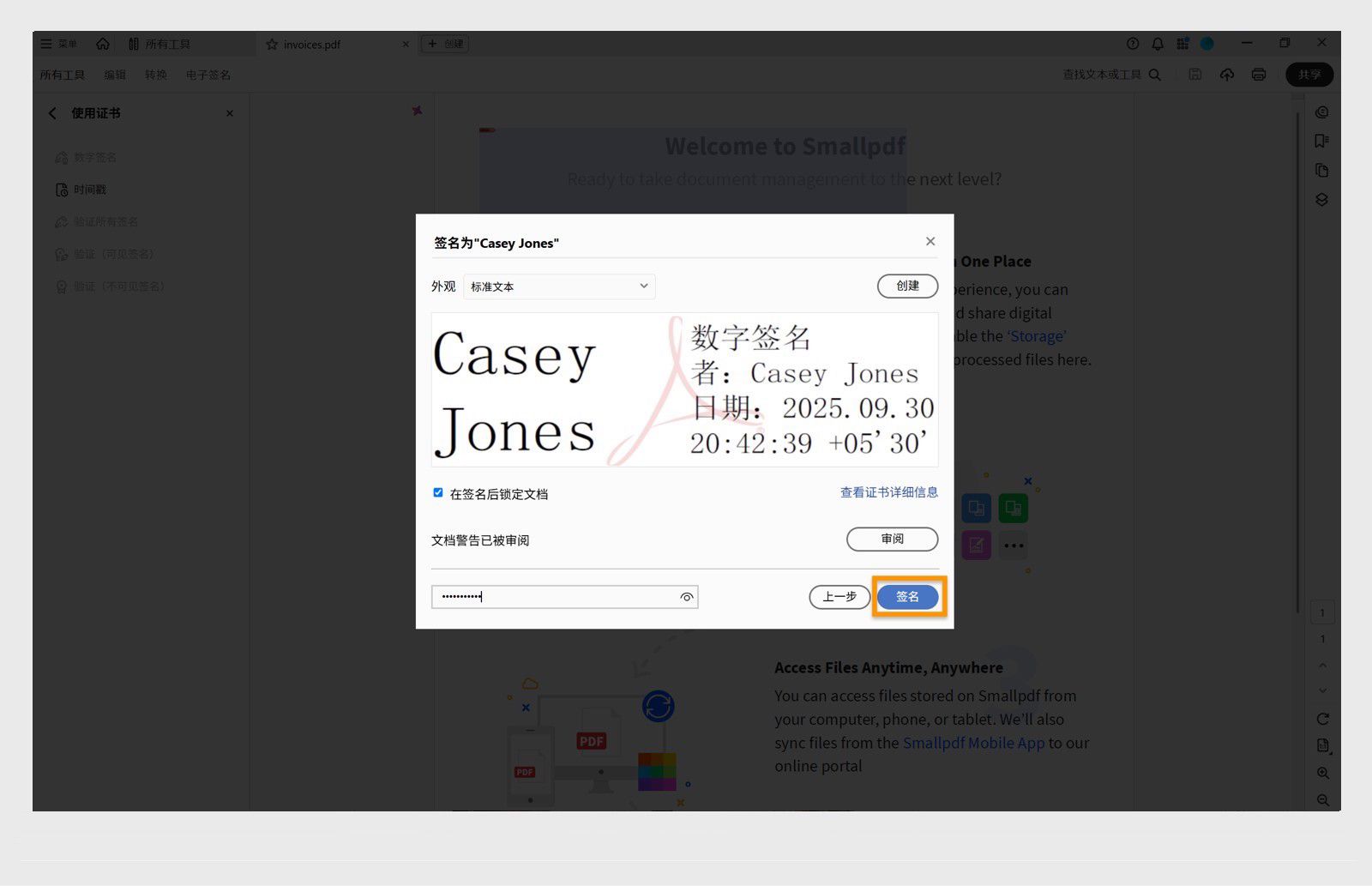 显示数字签名选项的对话框，其中包括所选证书、日期和时间，以及用于锁定文档的选项。