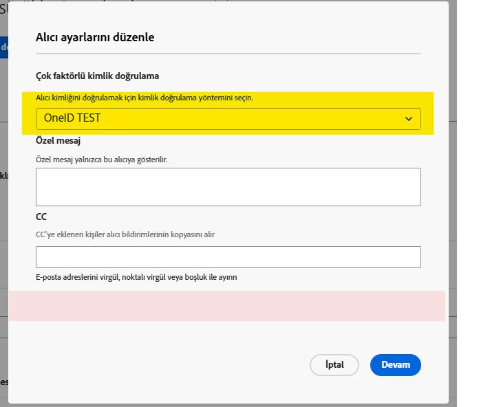 E-posta kontrolü devre dışı bırakıldığında alıcı ayarlarının gönderen görünümü