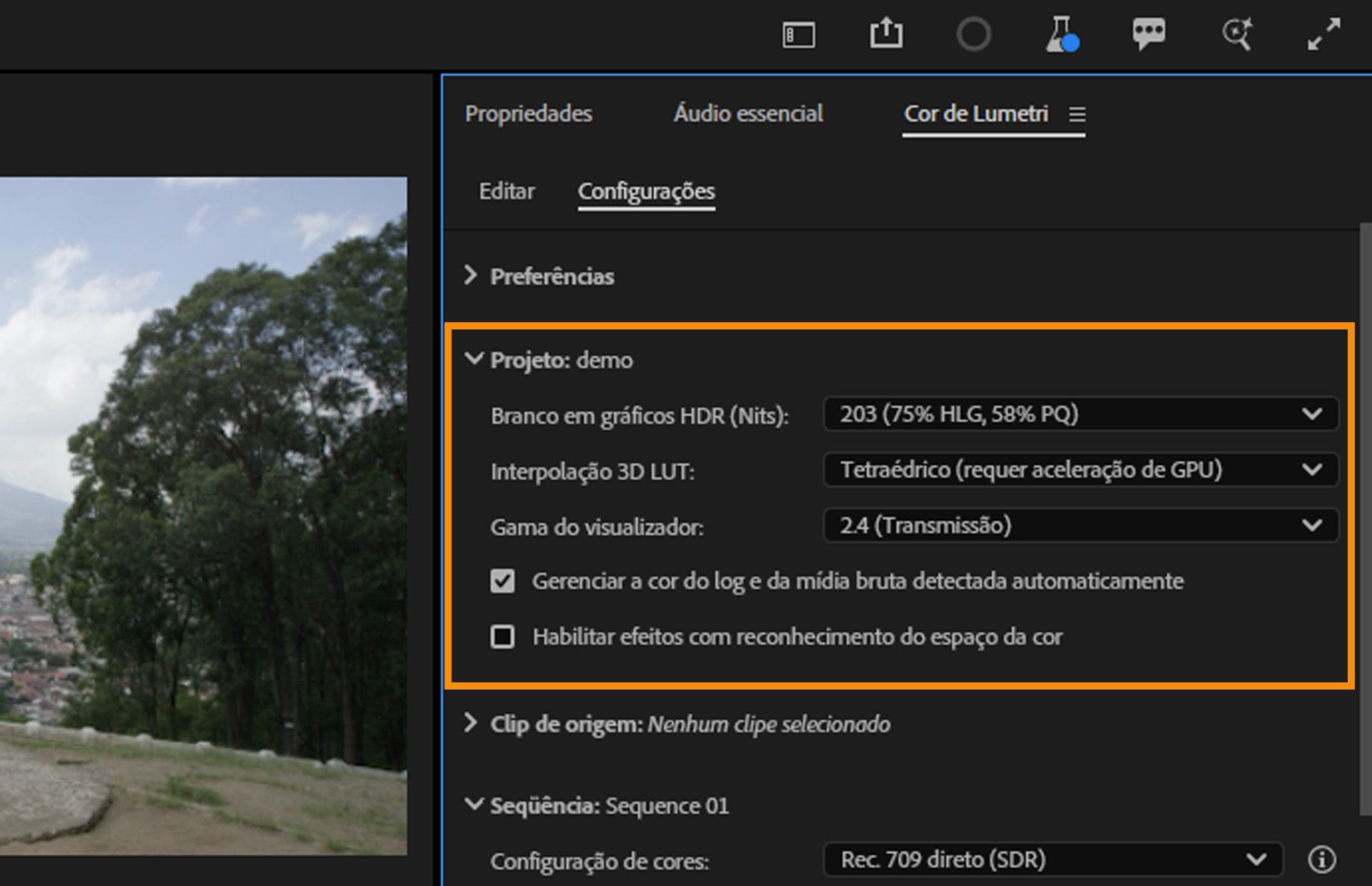 A interface de configurações do Espaço de cor de trabalho mostra as configurações do projeto com a opção Detectar automaticamente o espaço de cor do vídeo log desabilitada.