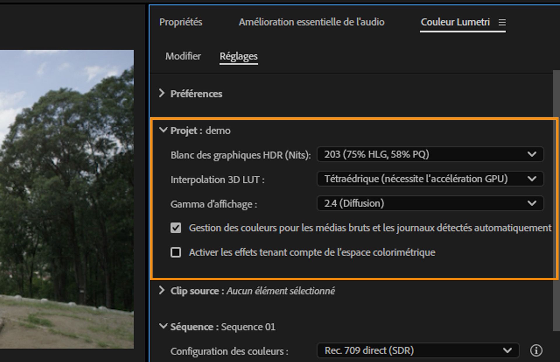 L’interface utilisateur Paramètres de l’espace colorimétrique de travail affiche les Paramètres du projet avec l’option Détecter automatiquement l’espace colorimétrique de la vidéo logarithmique.